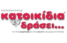 FESTIVAL ΚΑΤΟΙΚΙΔΙΑ ΕΝ ΔΡΑΣΕΙ